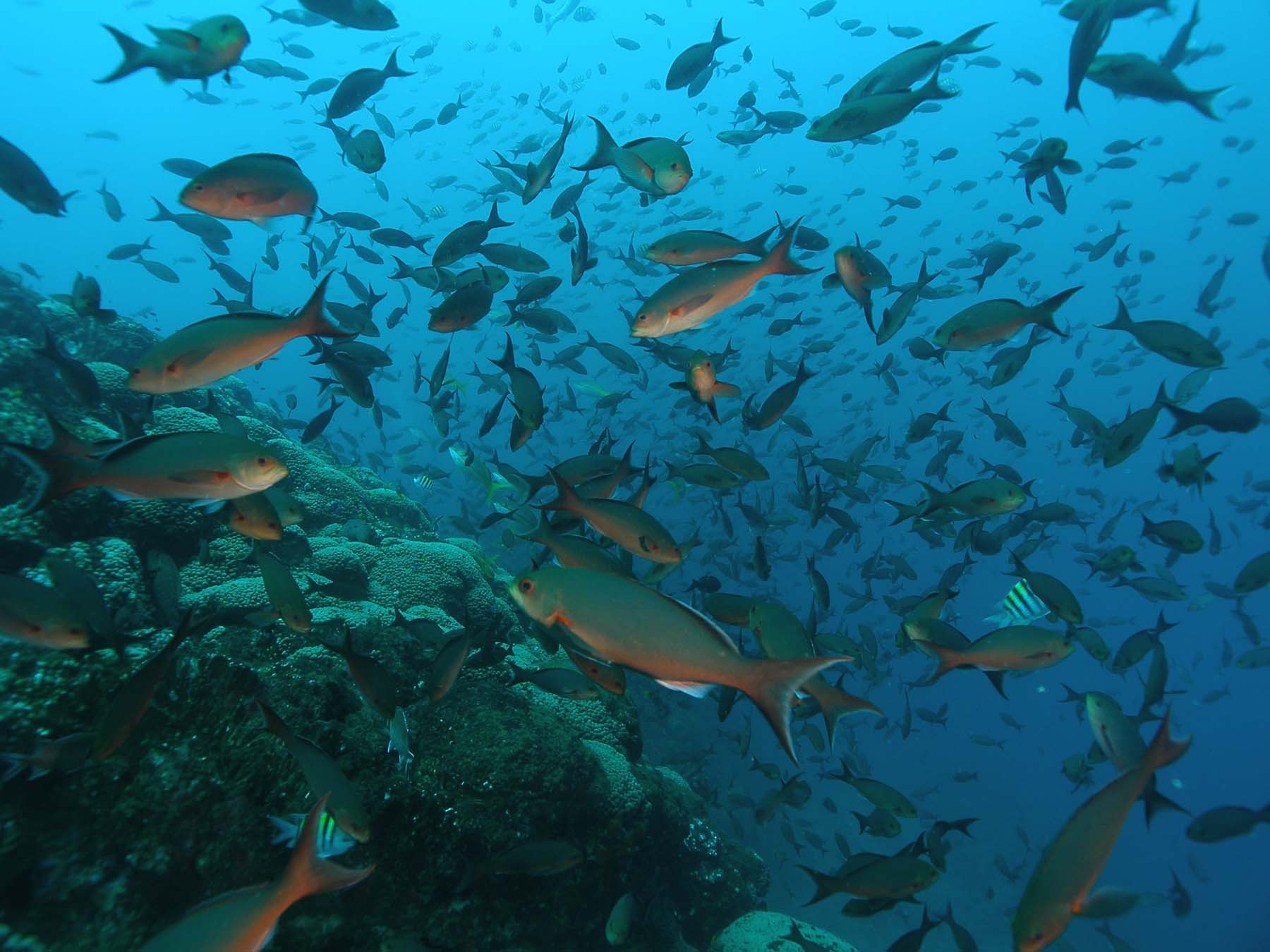 Dive site photo