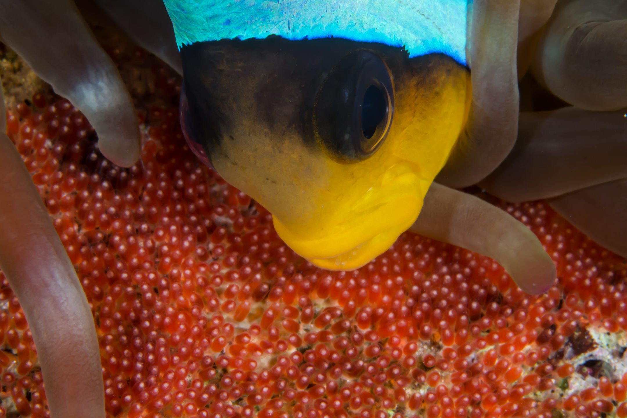 Dive site photo