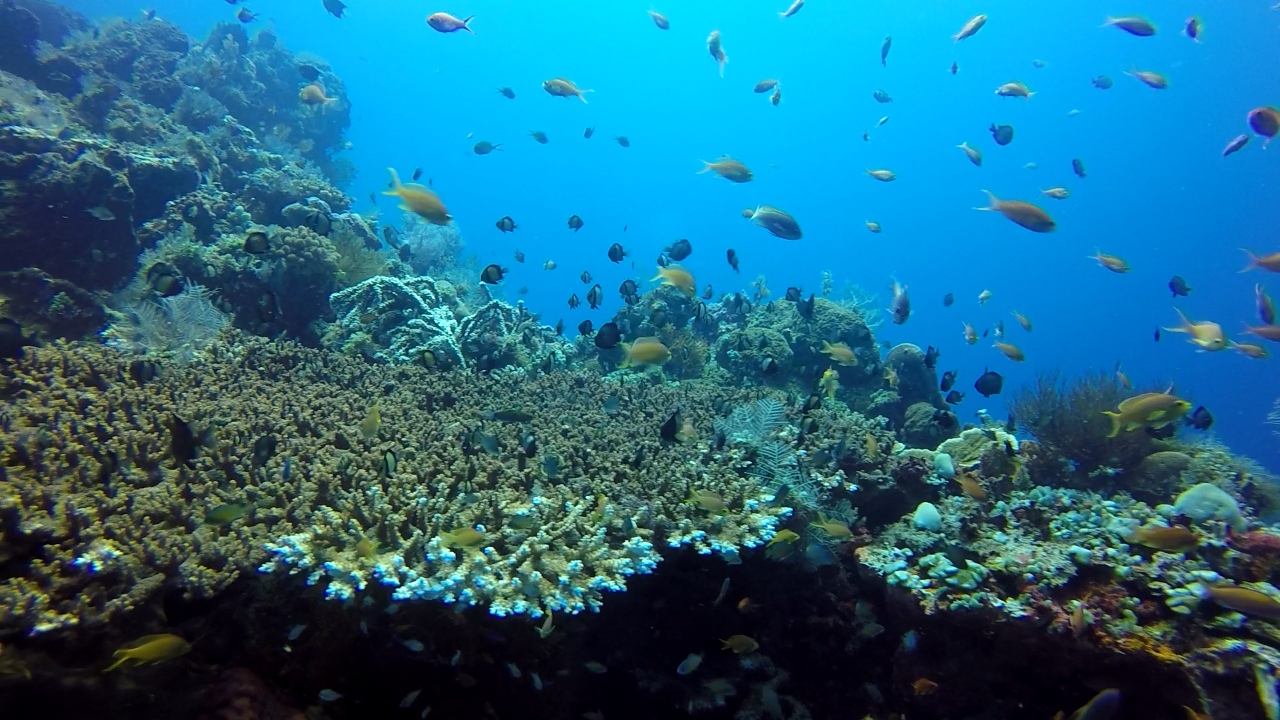 Dive site photo