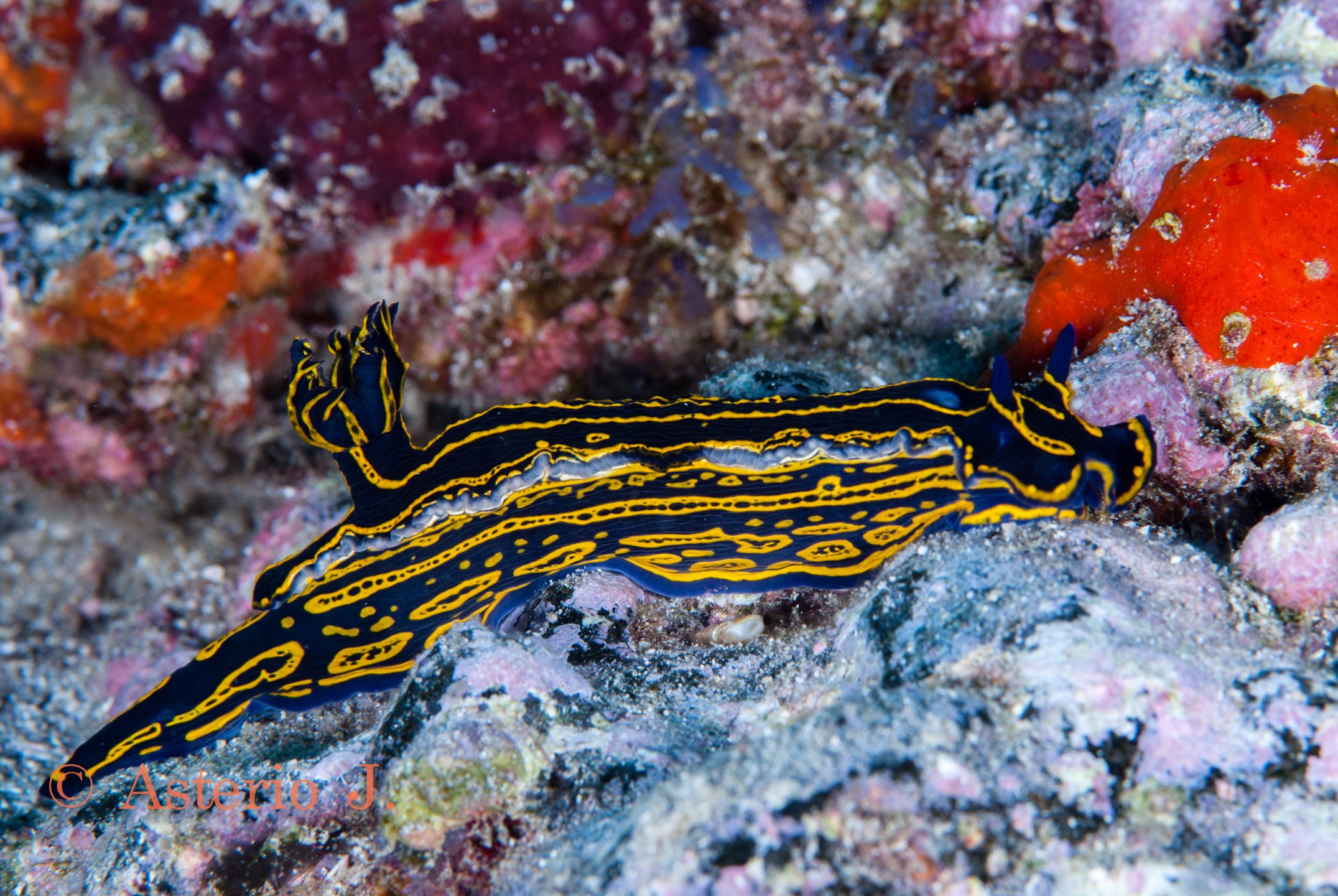 Dive site photo