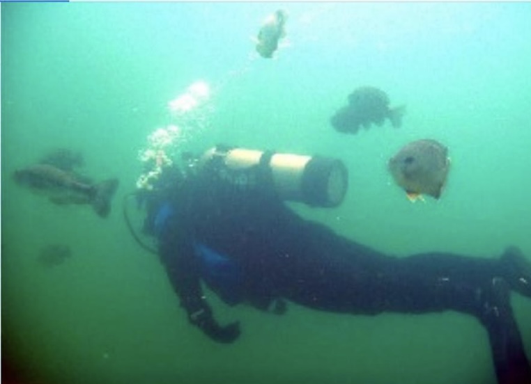 Dive site photo