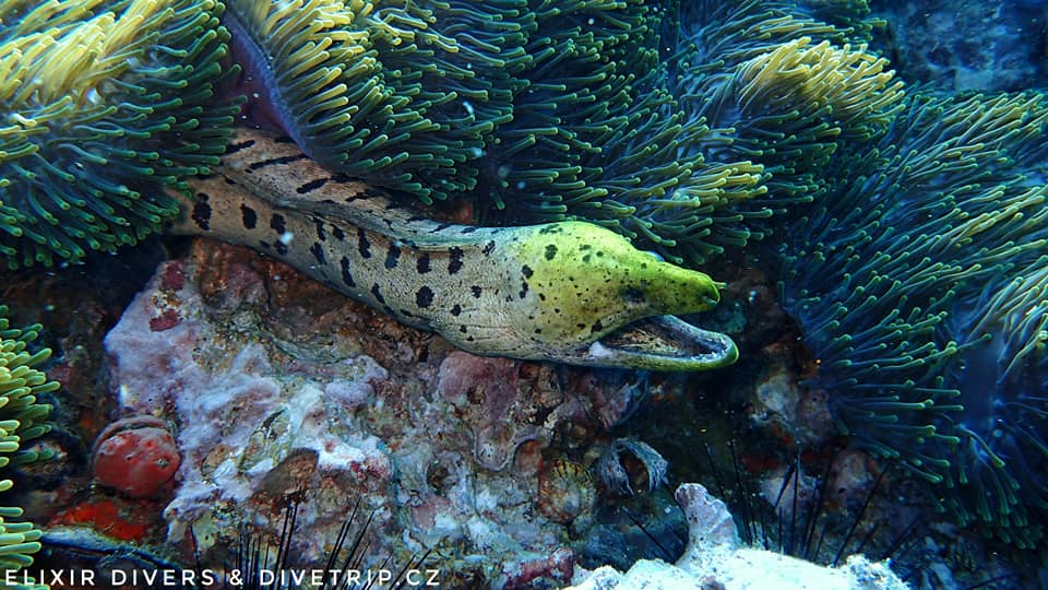 Dive site photo