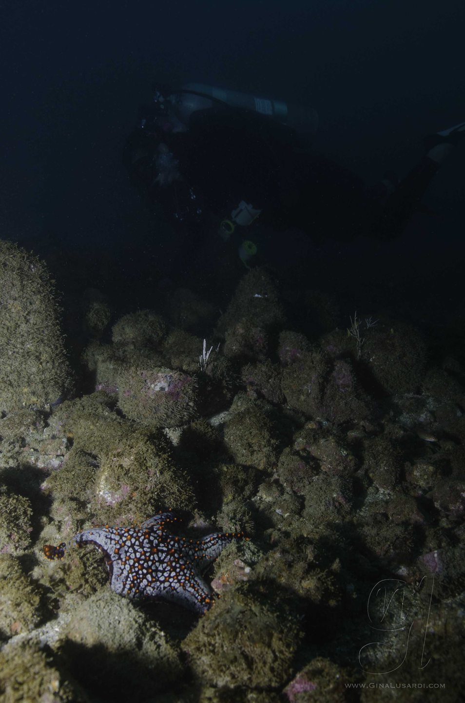Dive site photo
