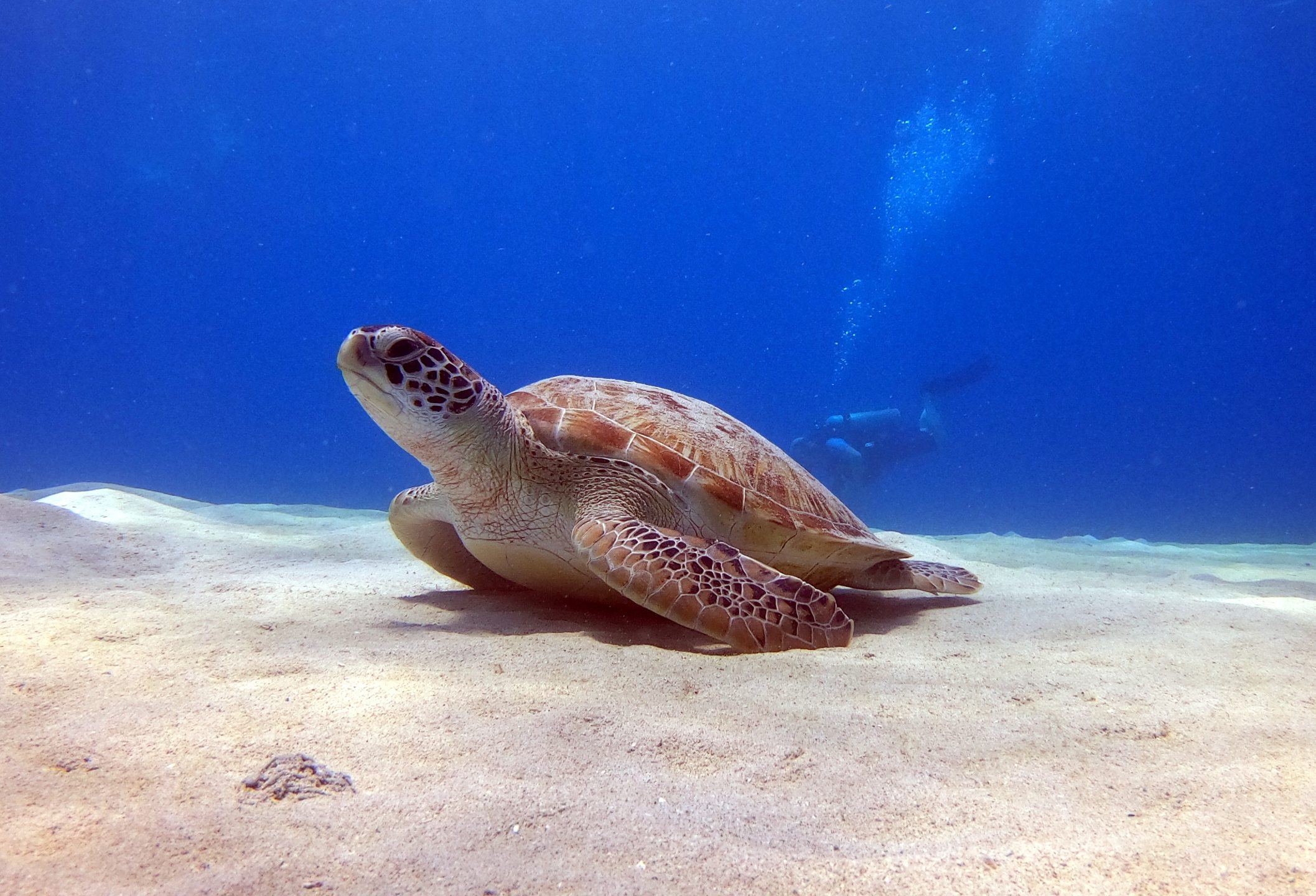 Dive site photo