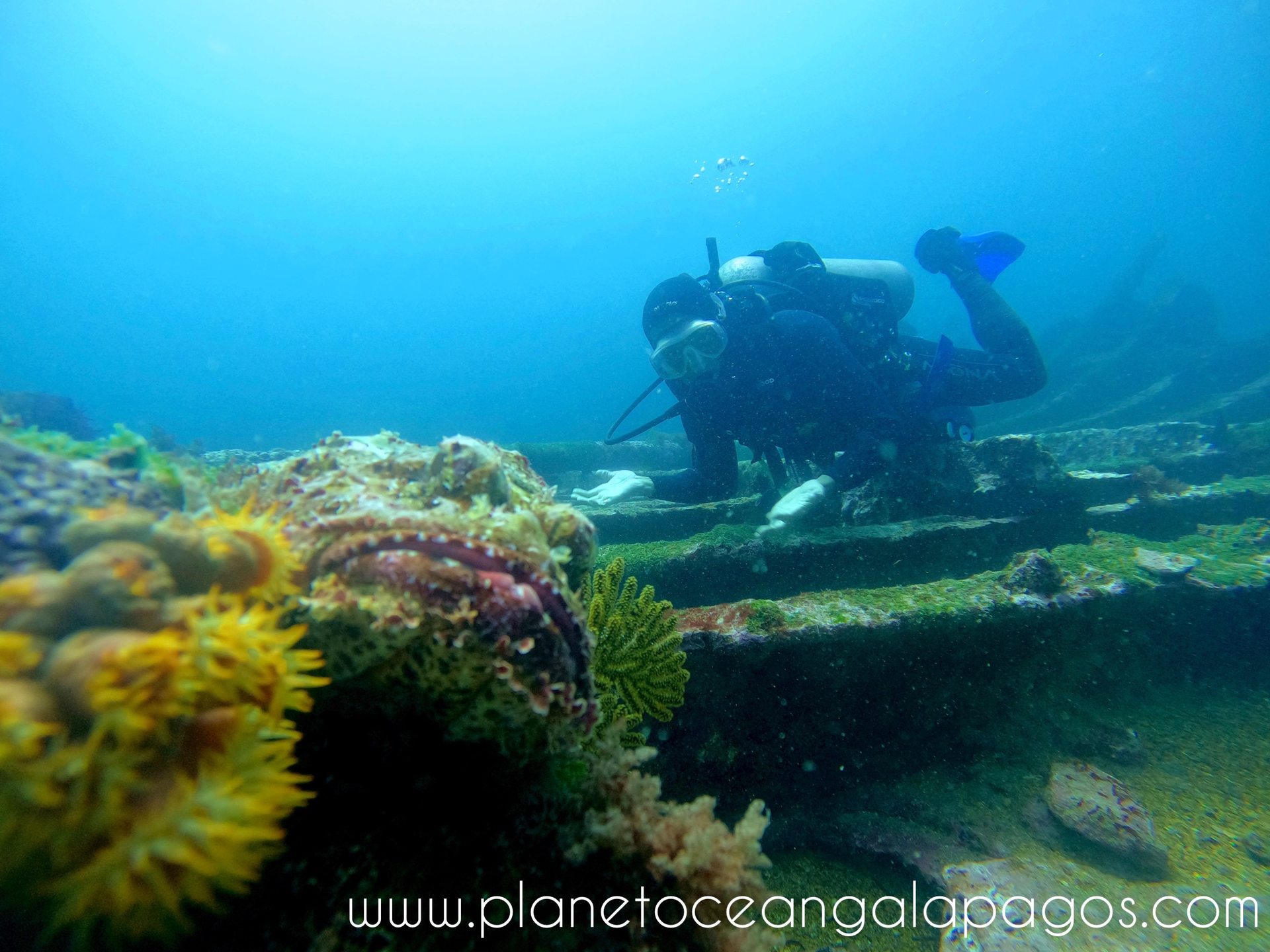 Caragua - ShipWreck