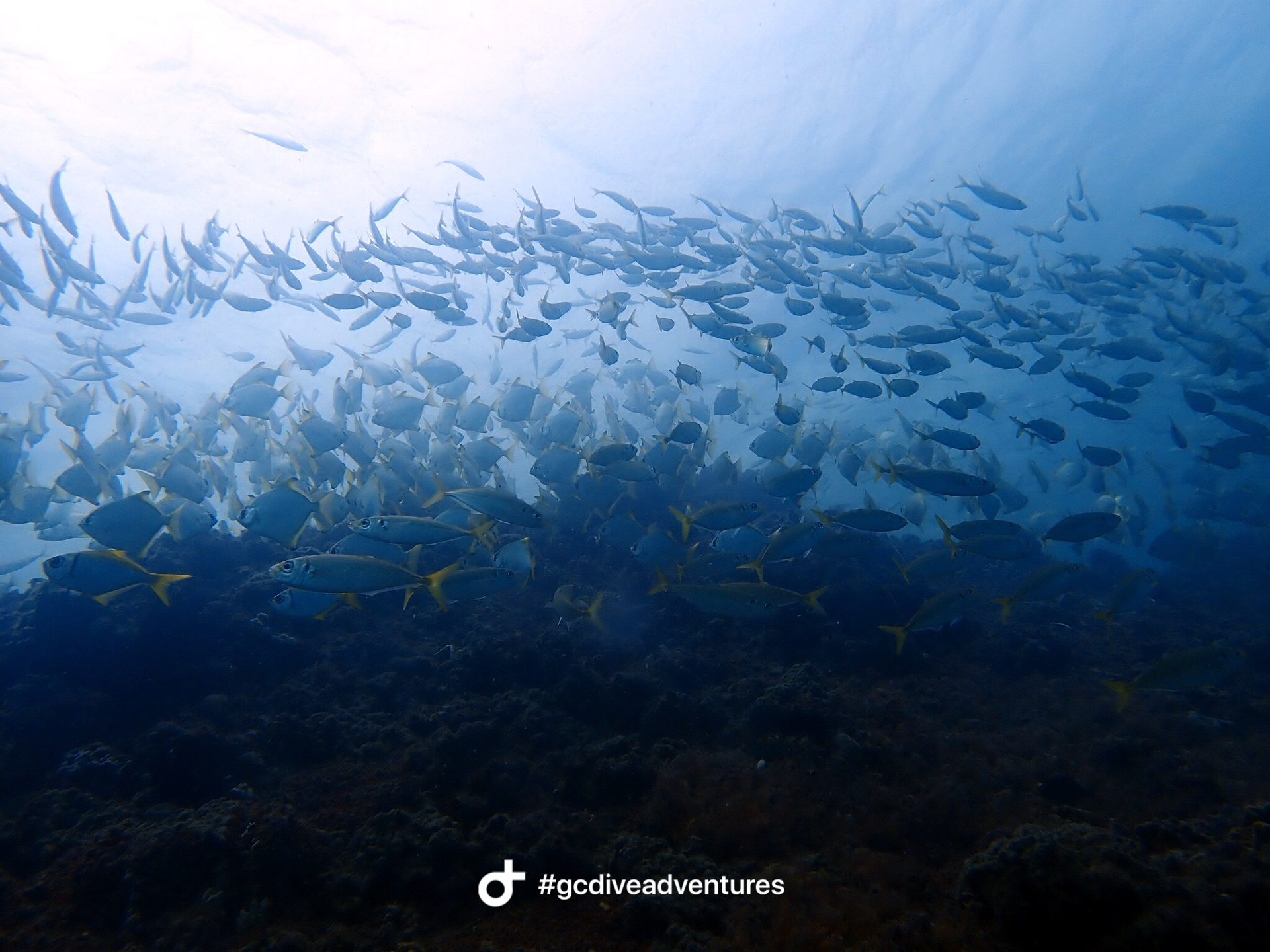 Dive site photo