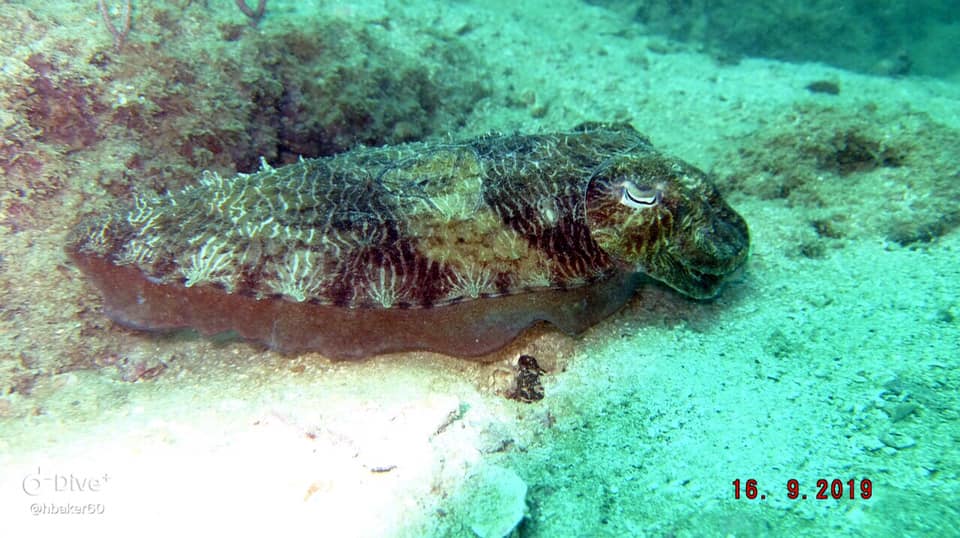 Dive site photo