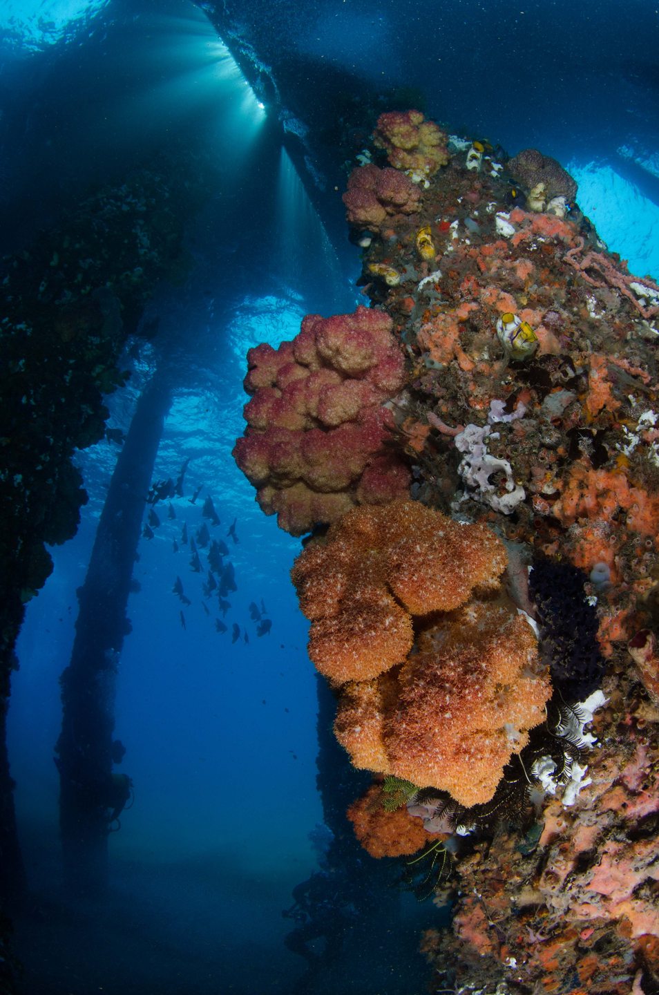 Dive site photo