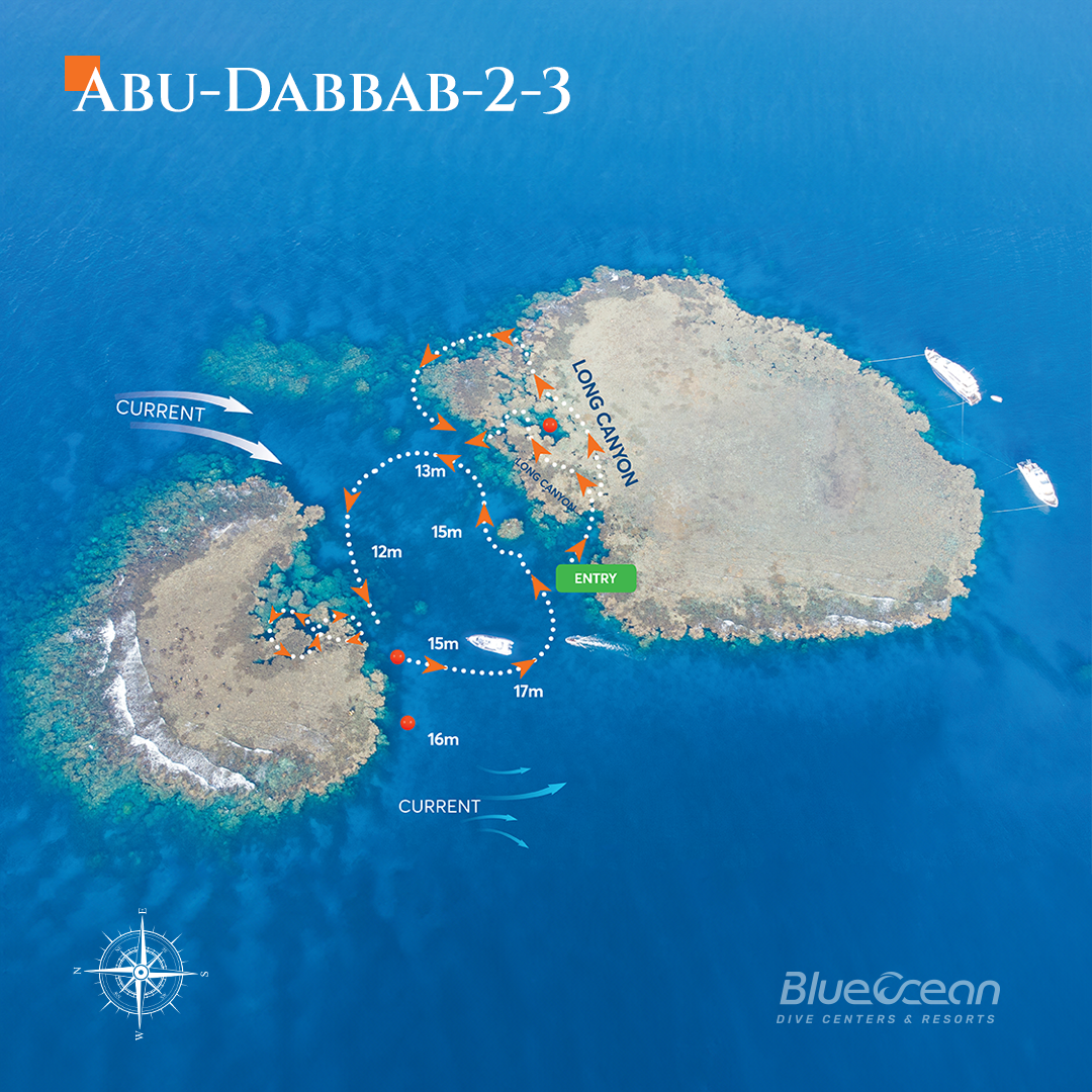 Abu Dabbab 2 * 3 Dive Site