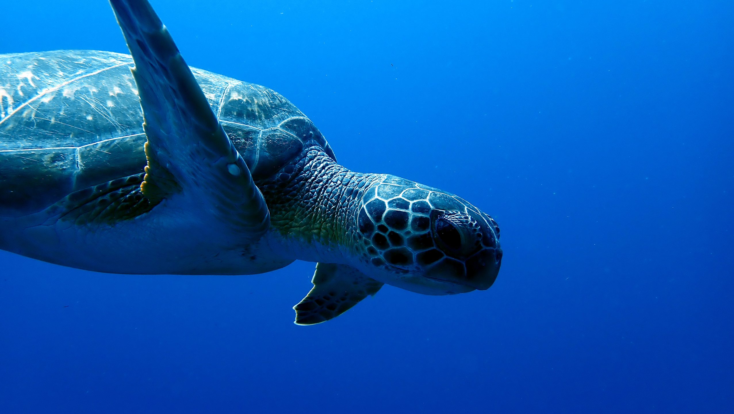 Dive site photo