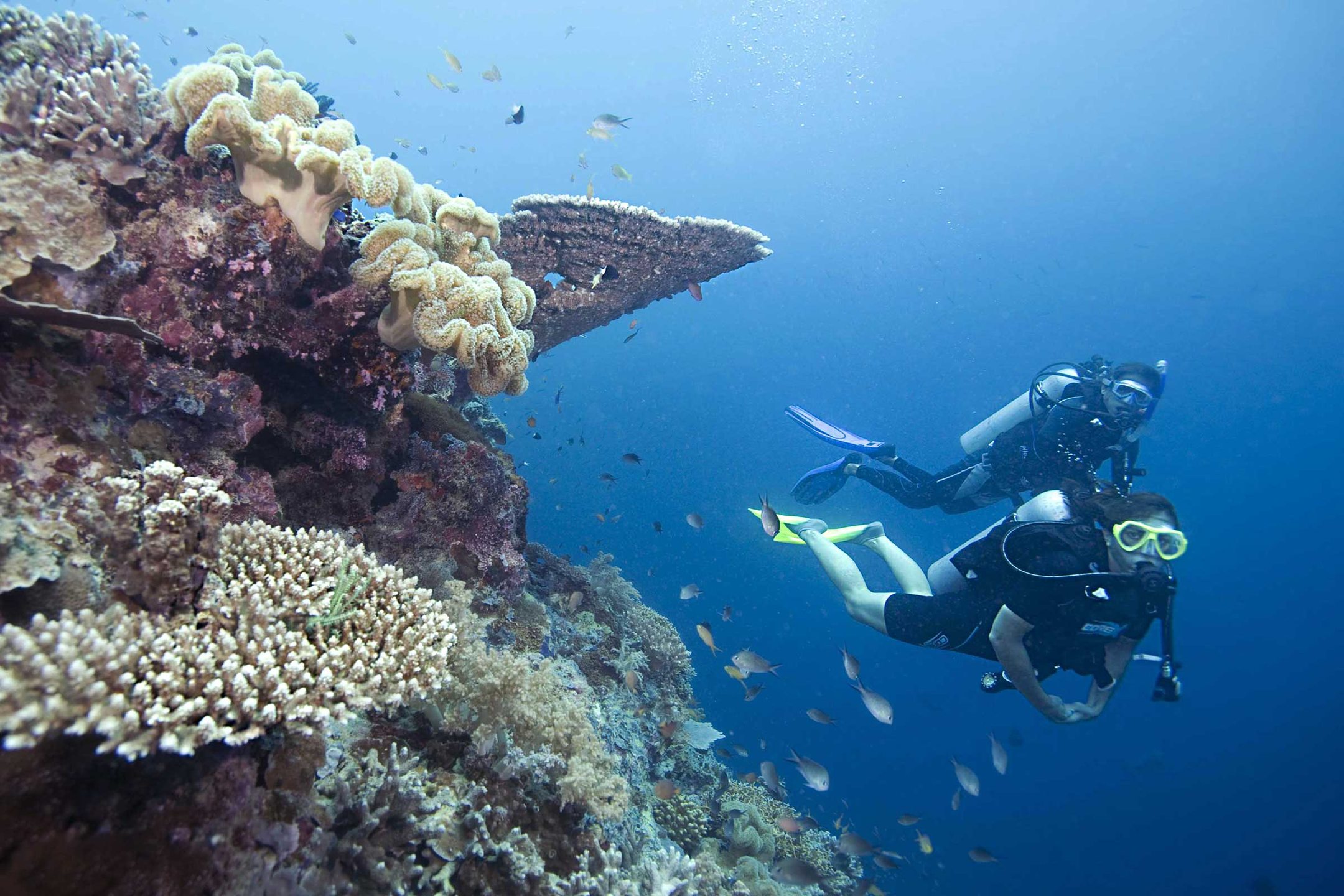 Dive site photo