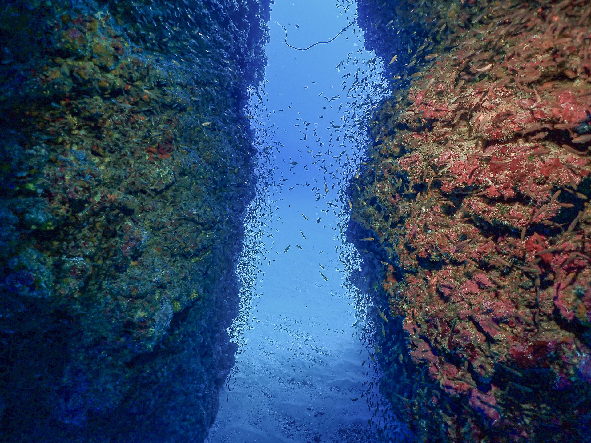 Dive site photo