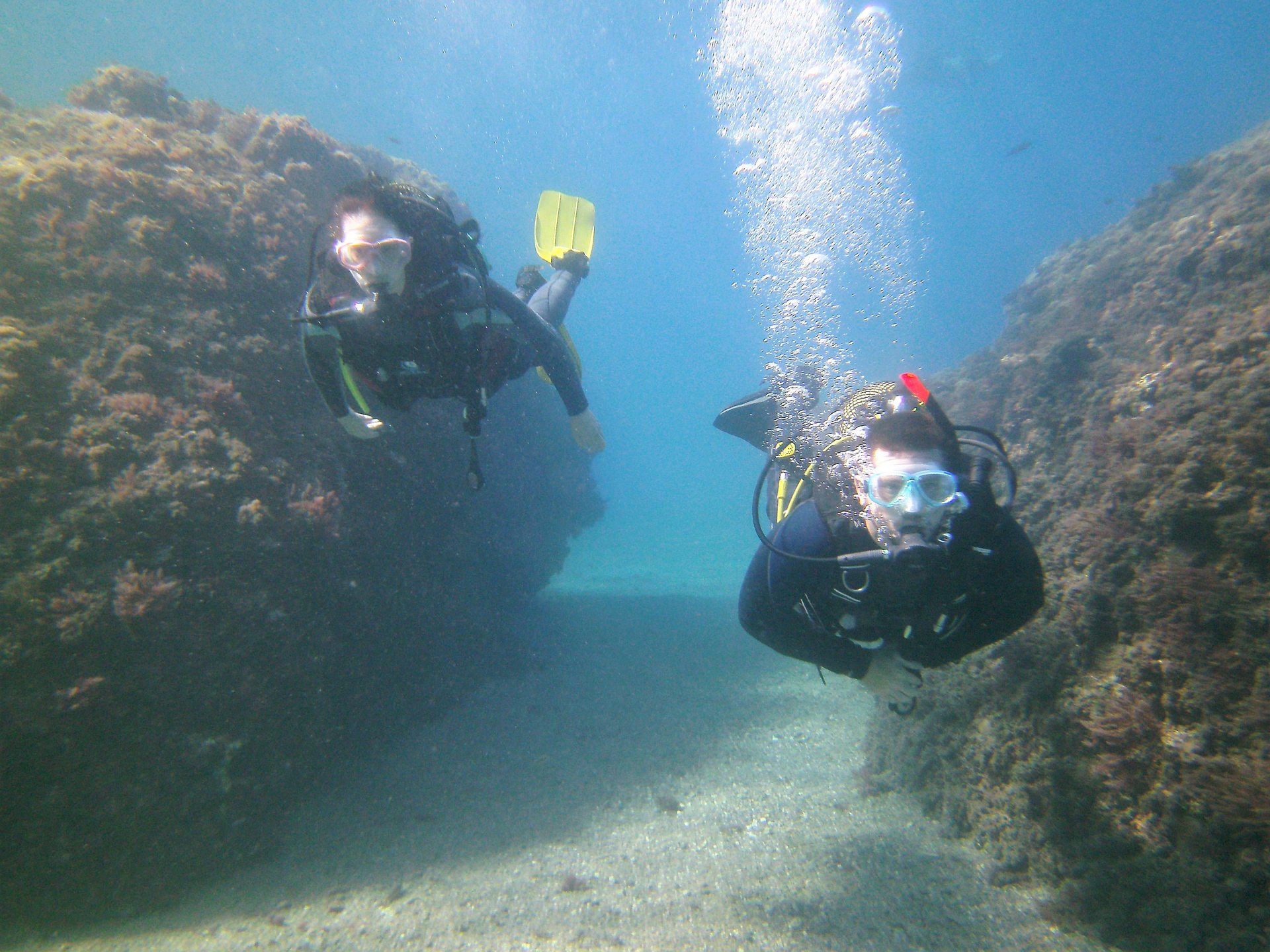 Dive site photo