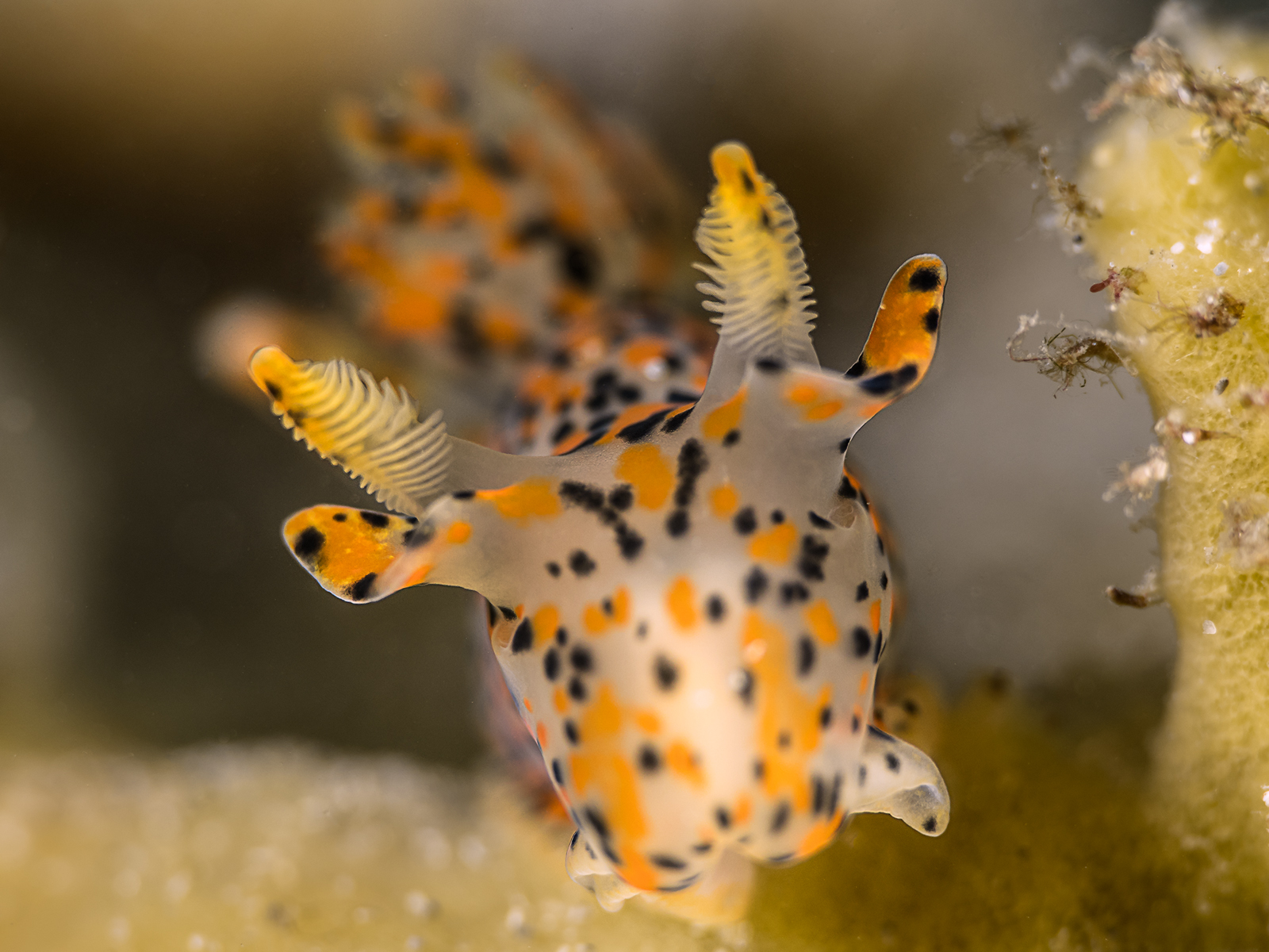 Dive site photo
