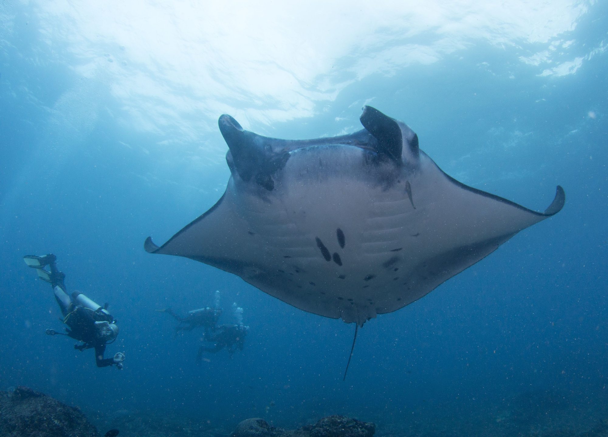 Dive site photo