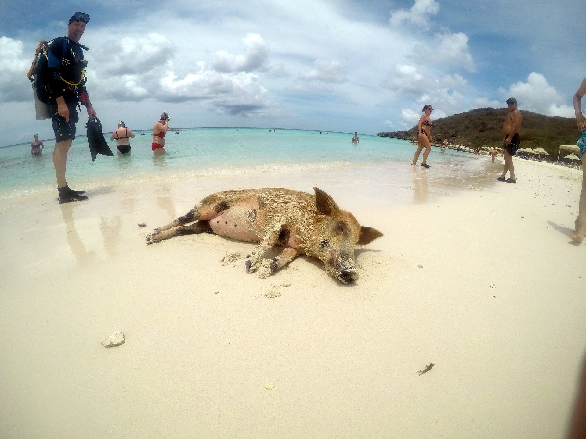 Dive site photo