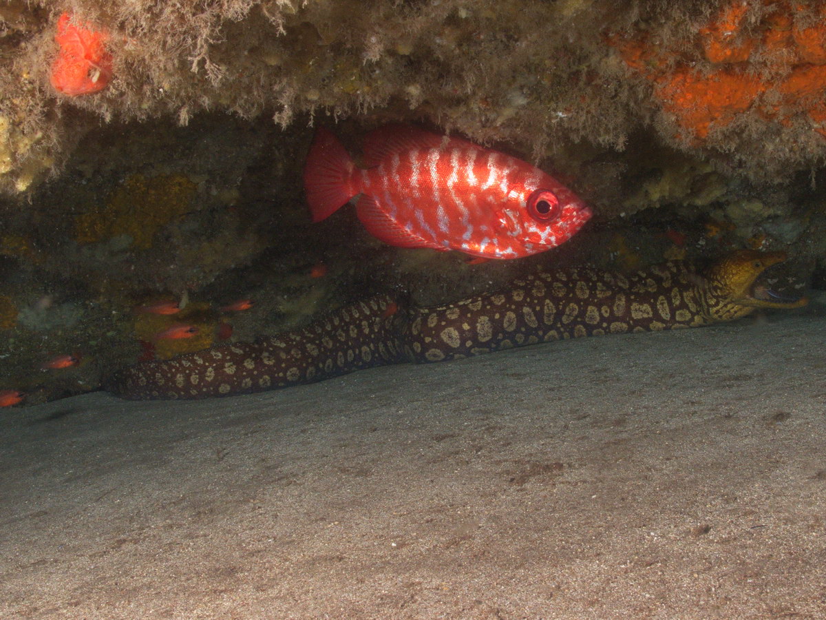 Dive site photo