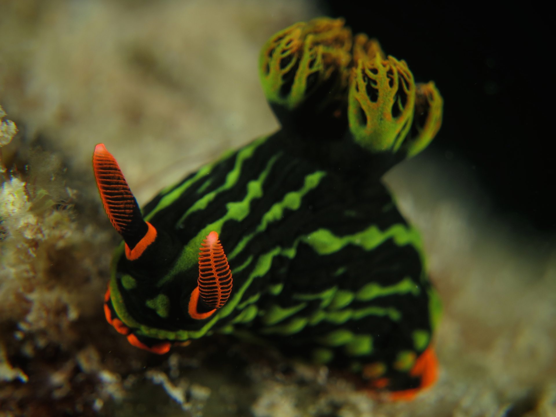 Dive site photo