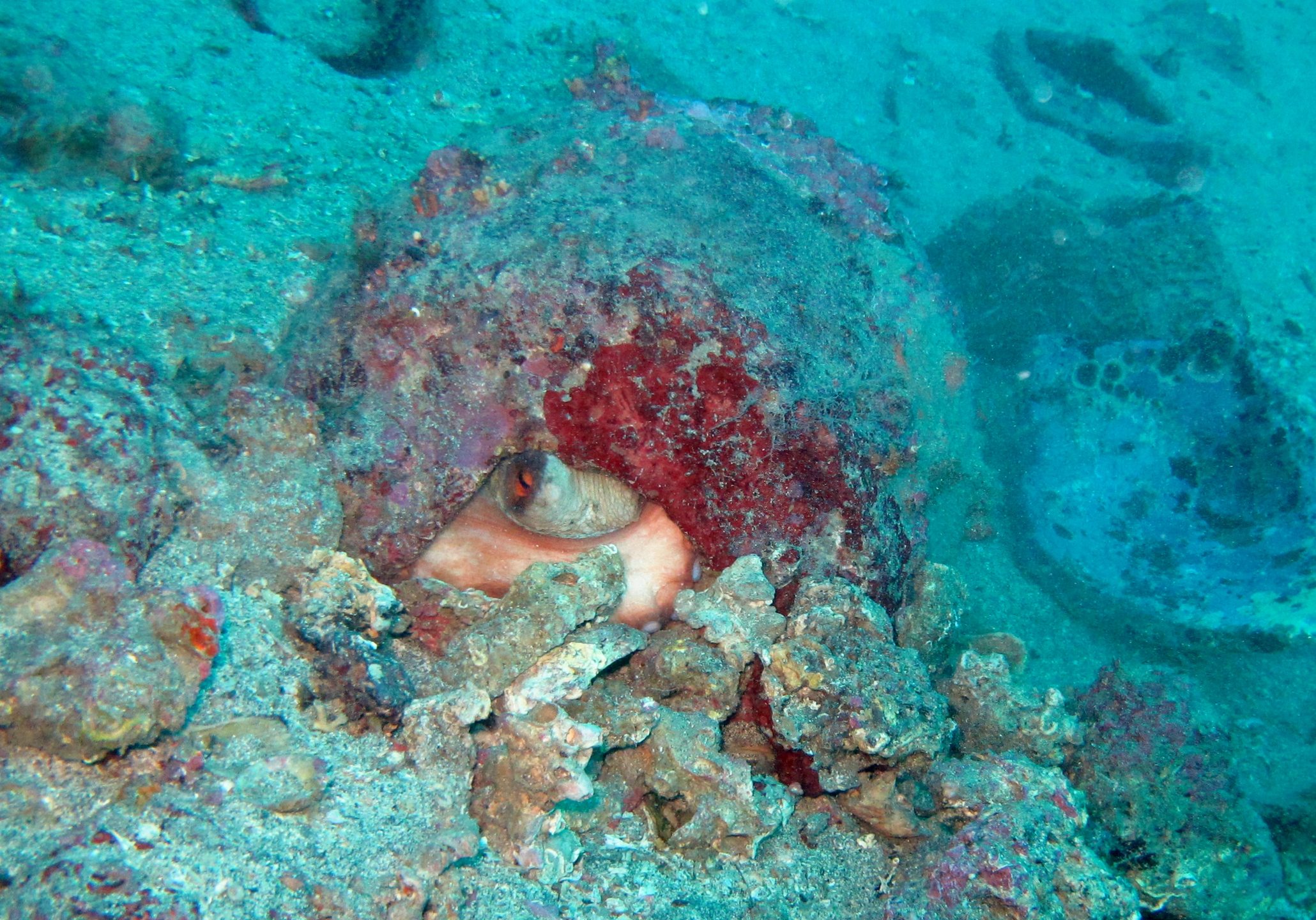 Dive site photo
