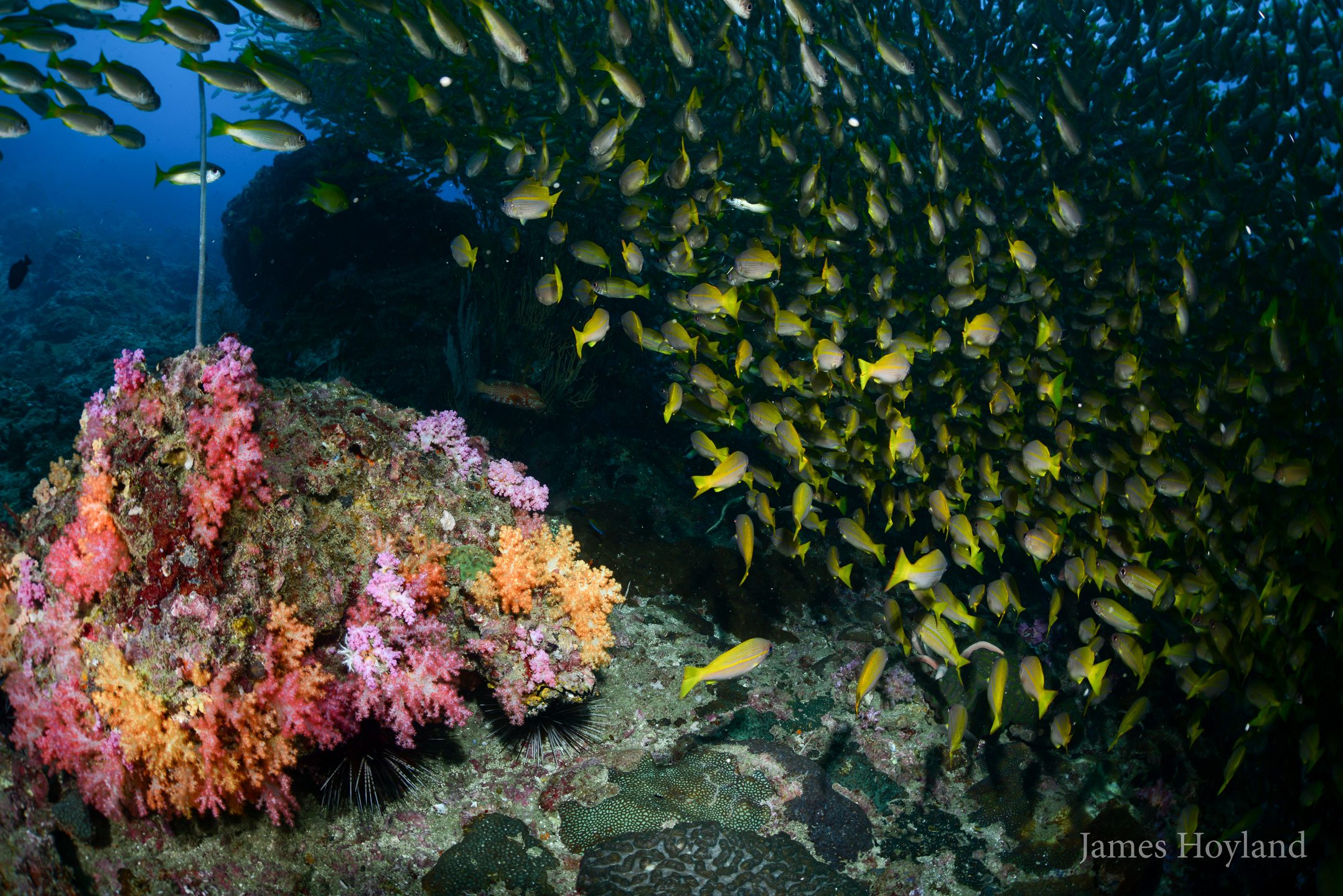 Dive site photo