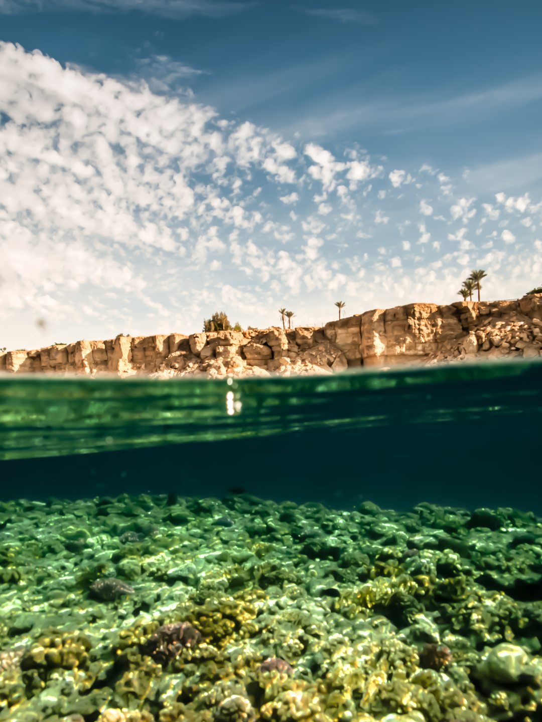 Dive site photo