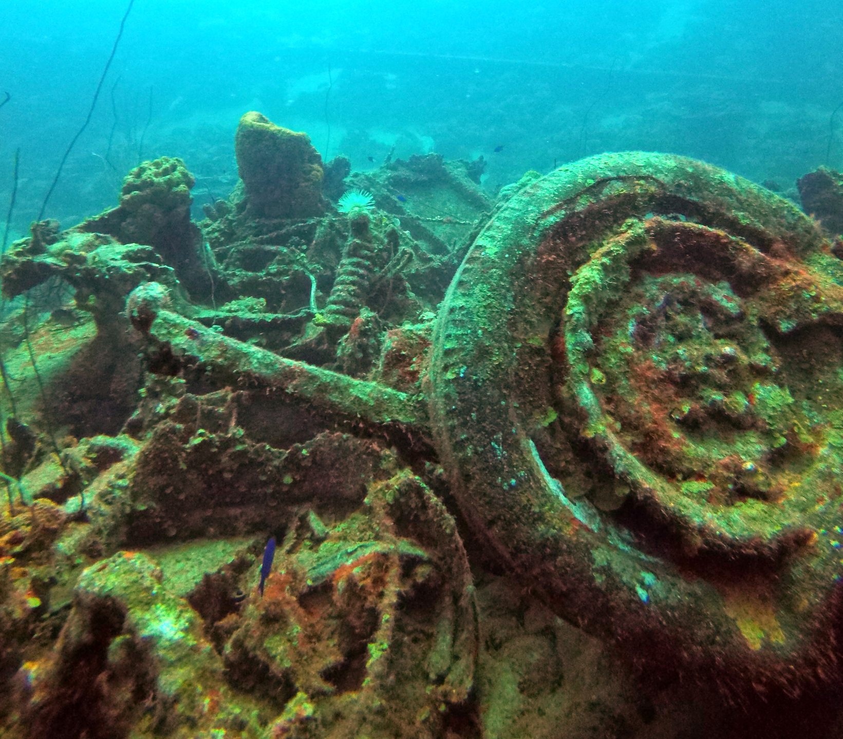 Dive site photo