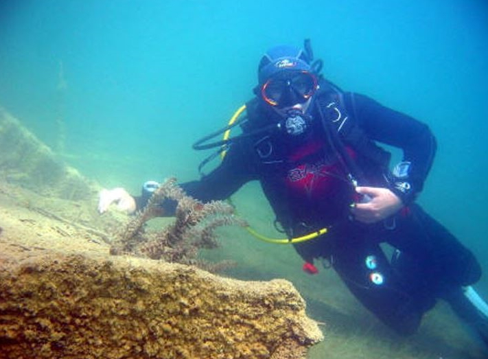 Dive site photo
