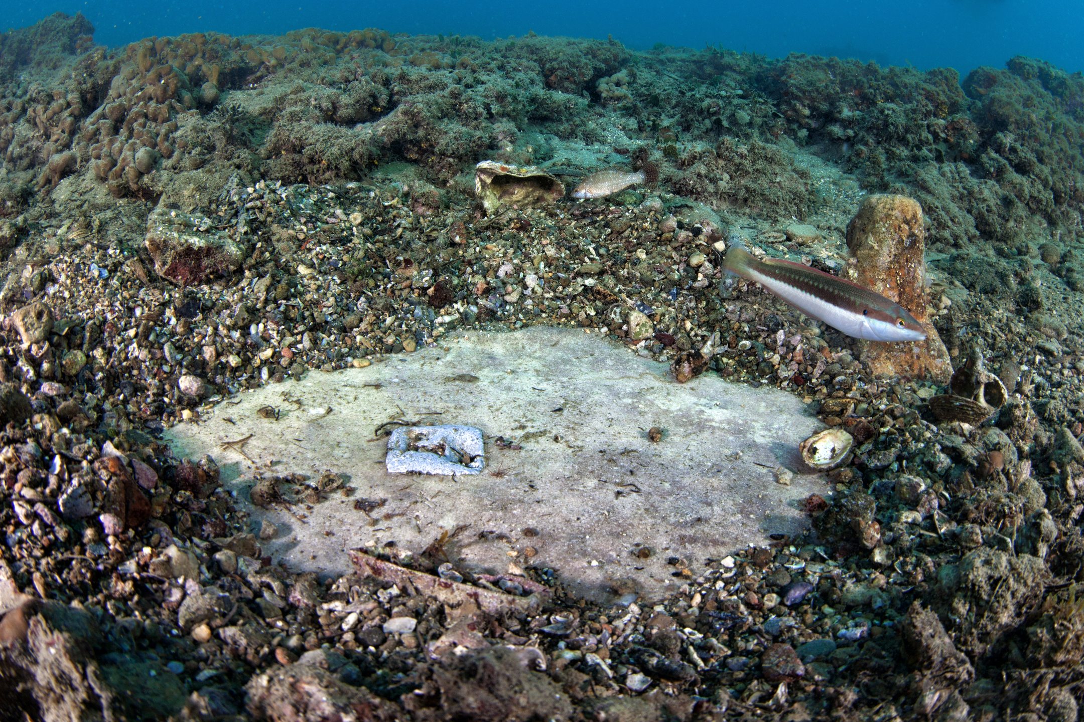 Ninfeo Parco Archeologico Sommerso di Baia dive site PADI