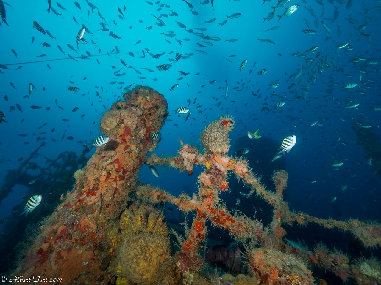 Dive site photo