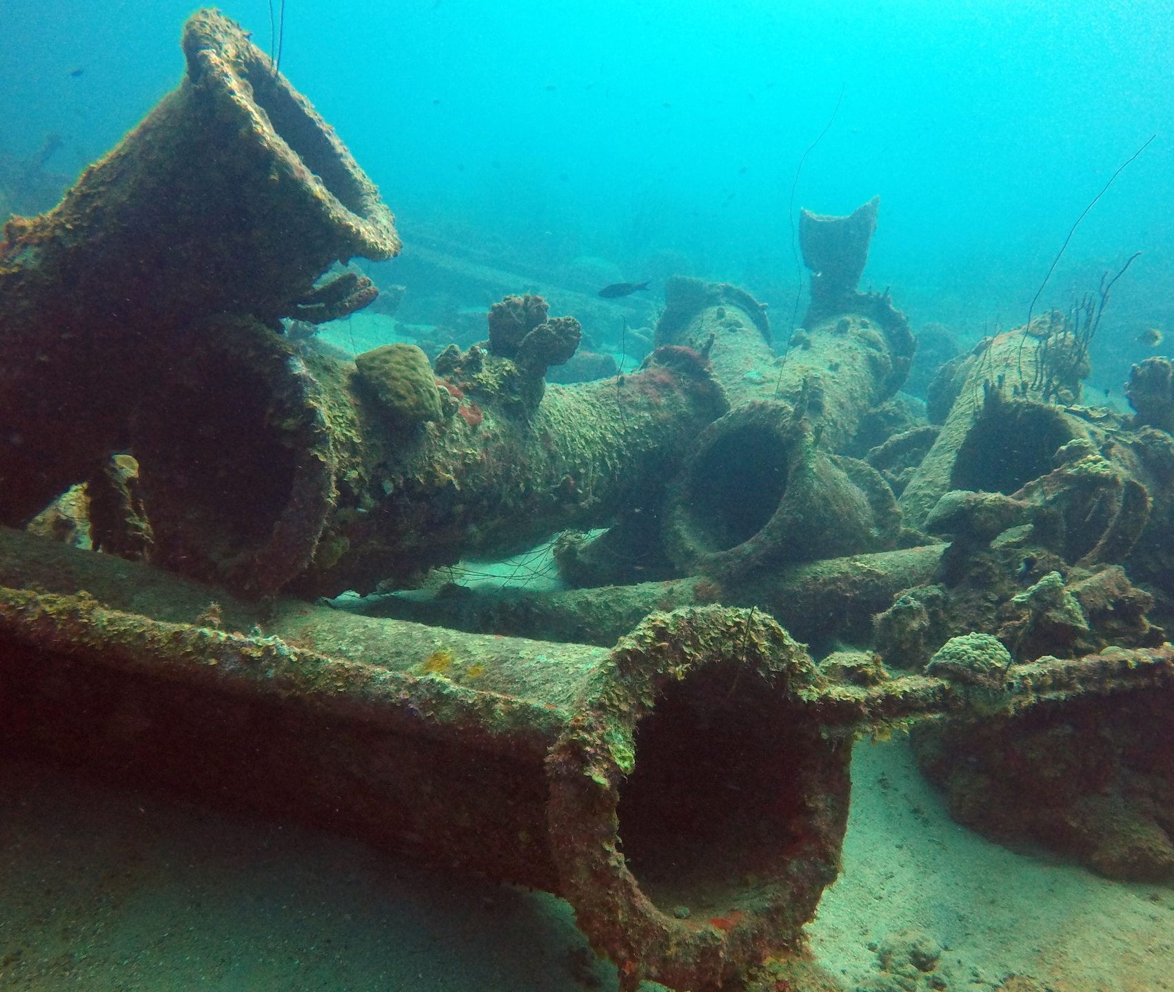 Dive site photo