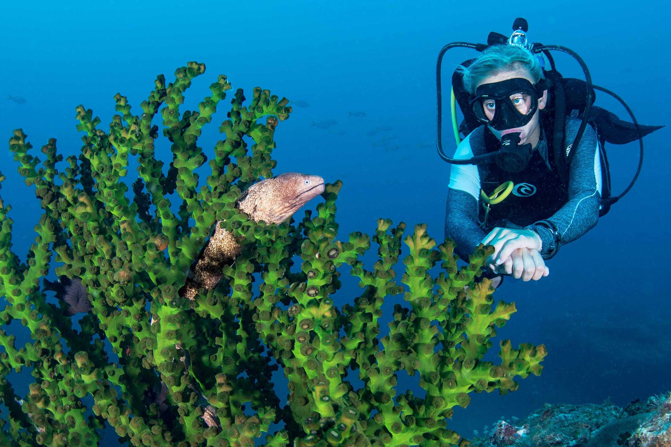 Dive site photo