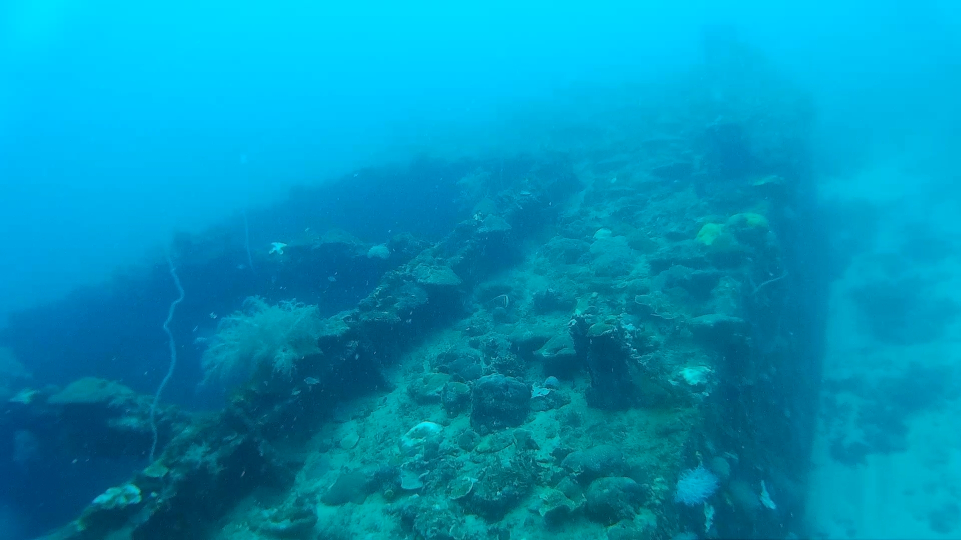 Coron Virgin dive site PADI