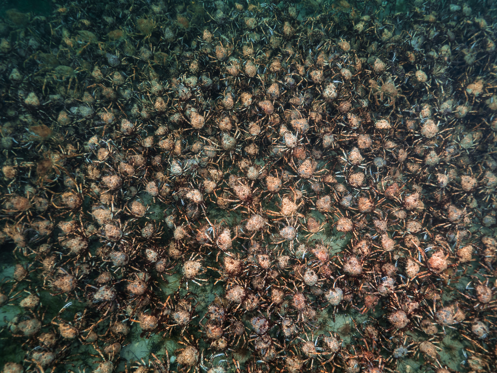 Dive site photo