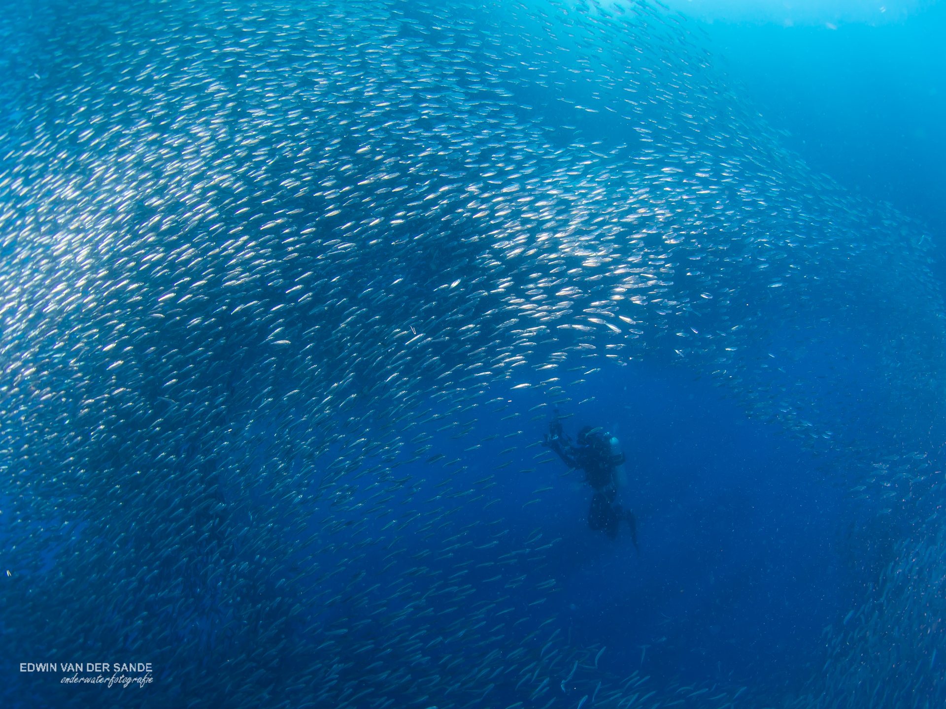 Dive site photo