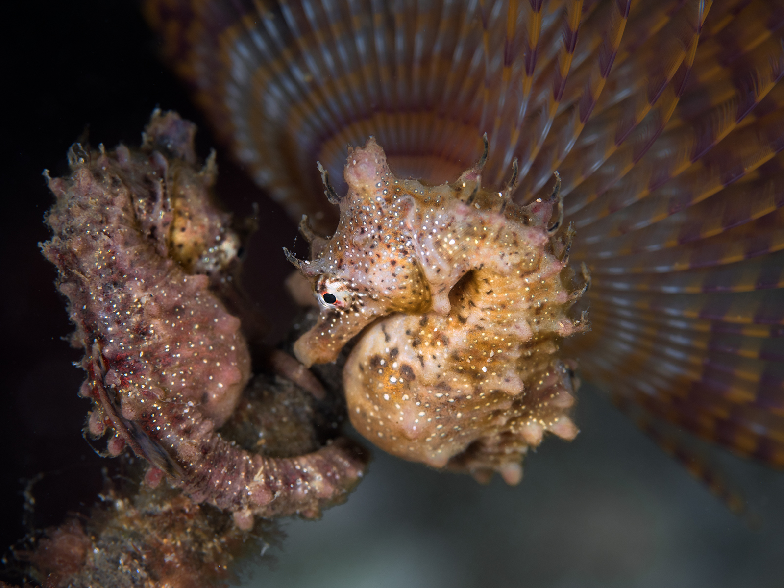 Dive site photo