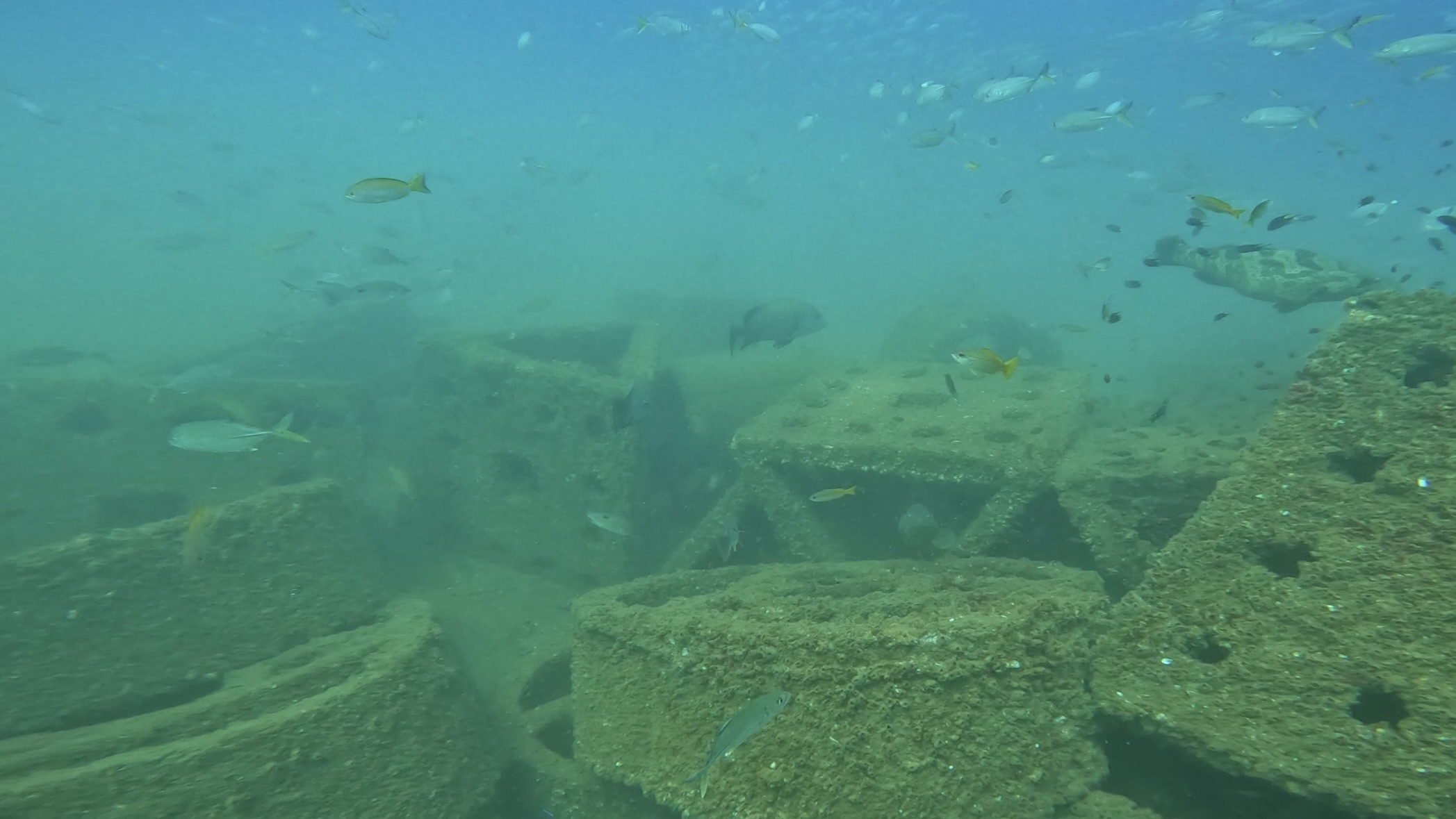 Dive site photo