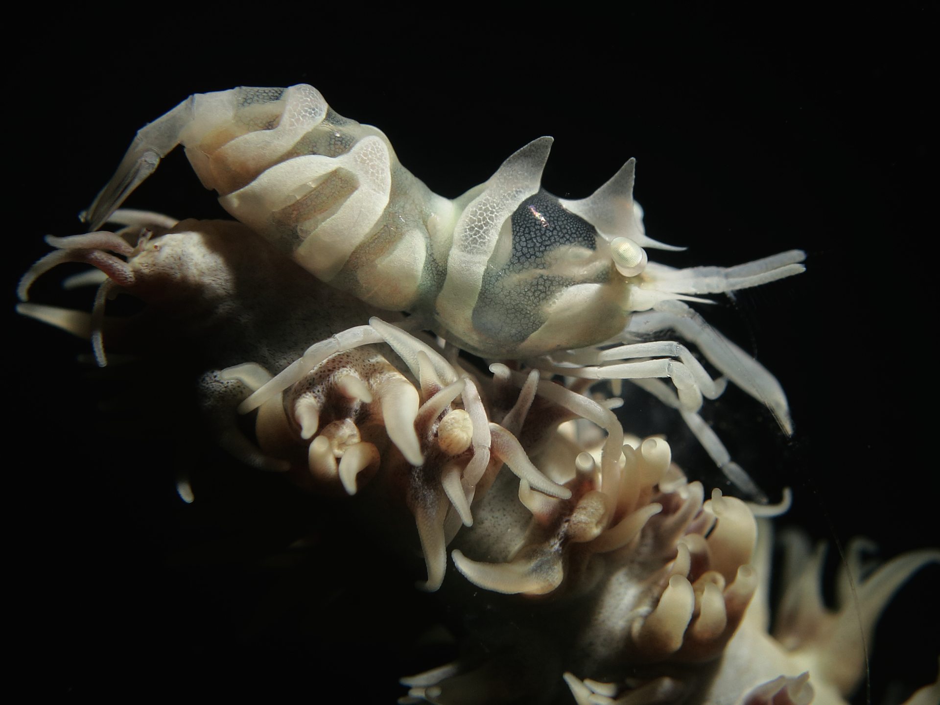 Dive site photo