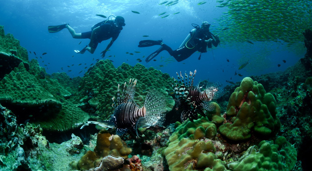 Dive site photo