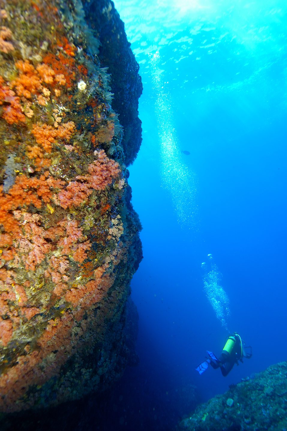 Dive site photo