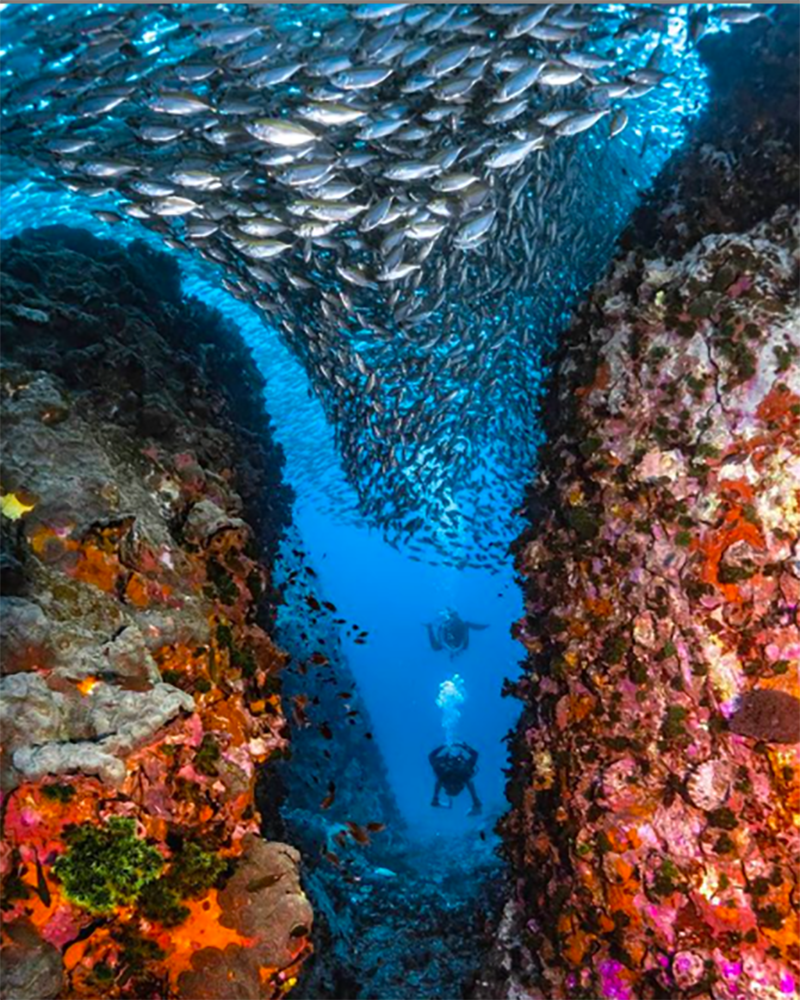 Black Storm Undive Watch Coral Grand Divers Koh Tao Centro De