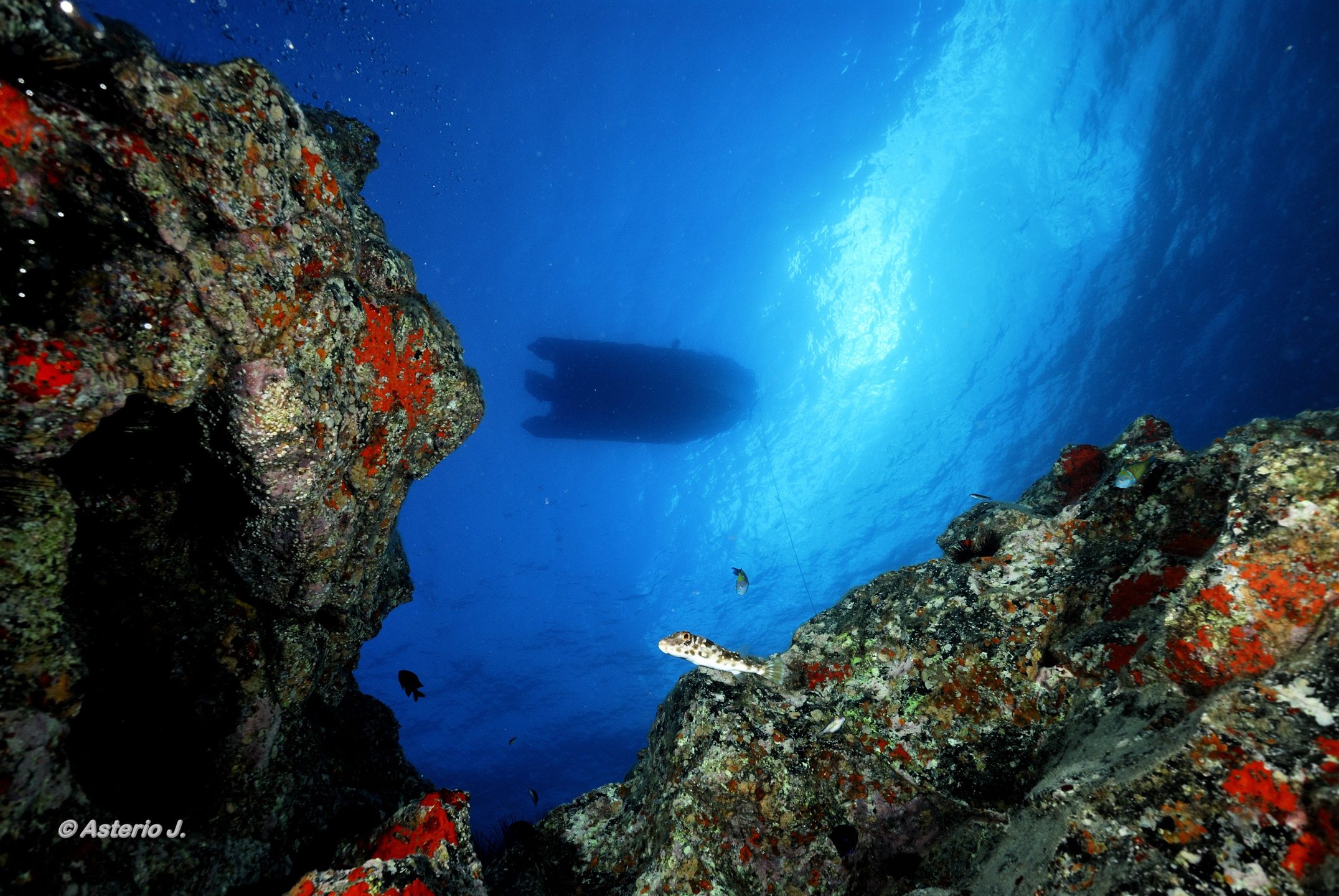 Cueva del Zorro
