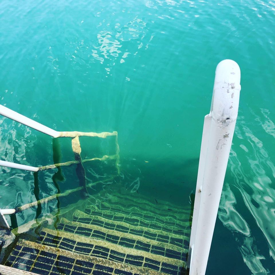 Dive site photo