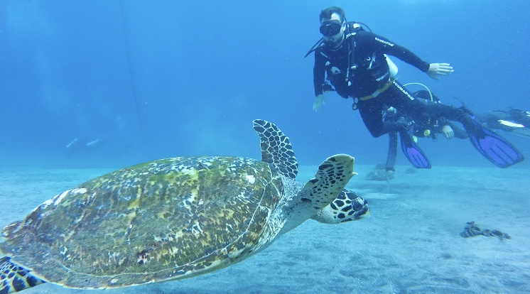 Dive site photo