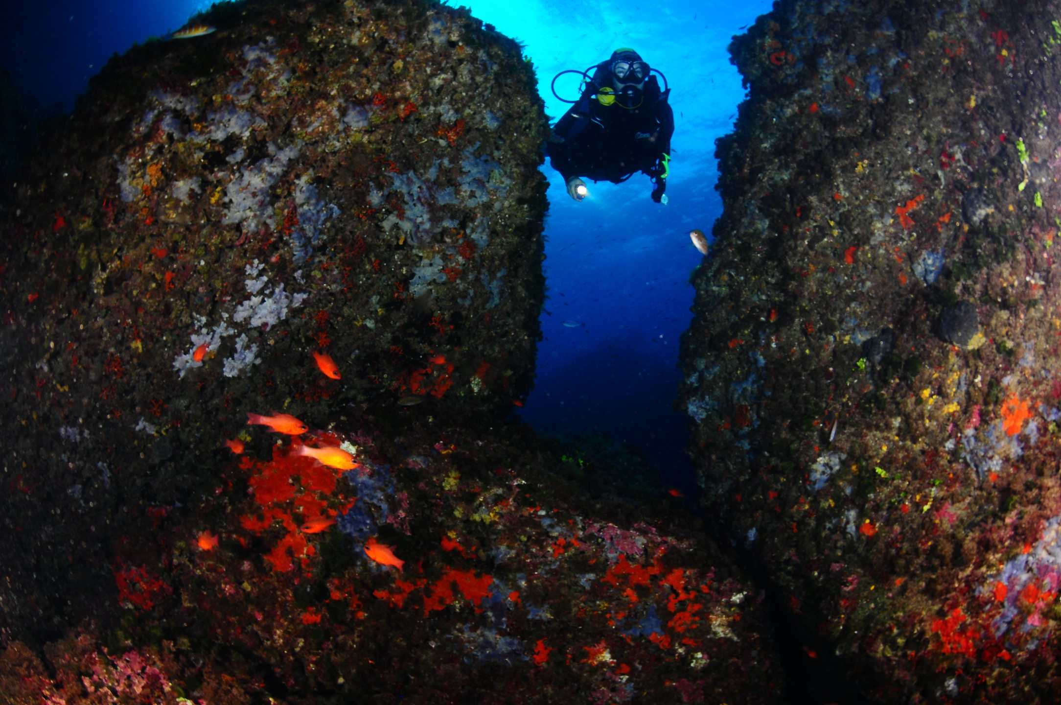 Dive site photo