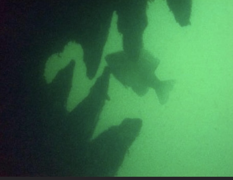 Dive site photo