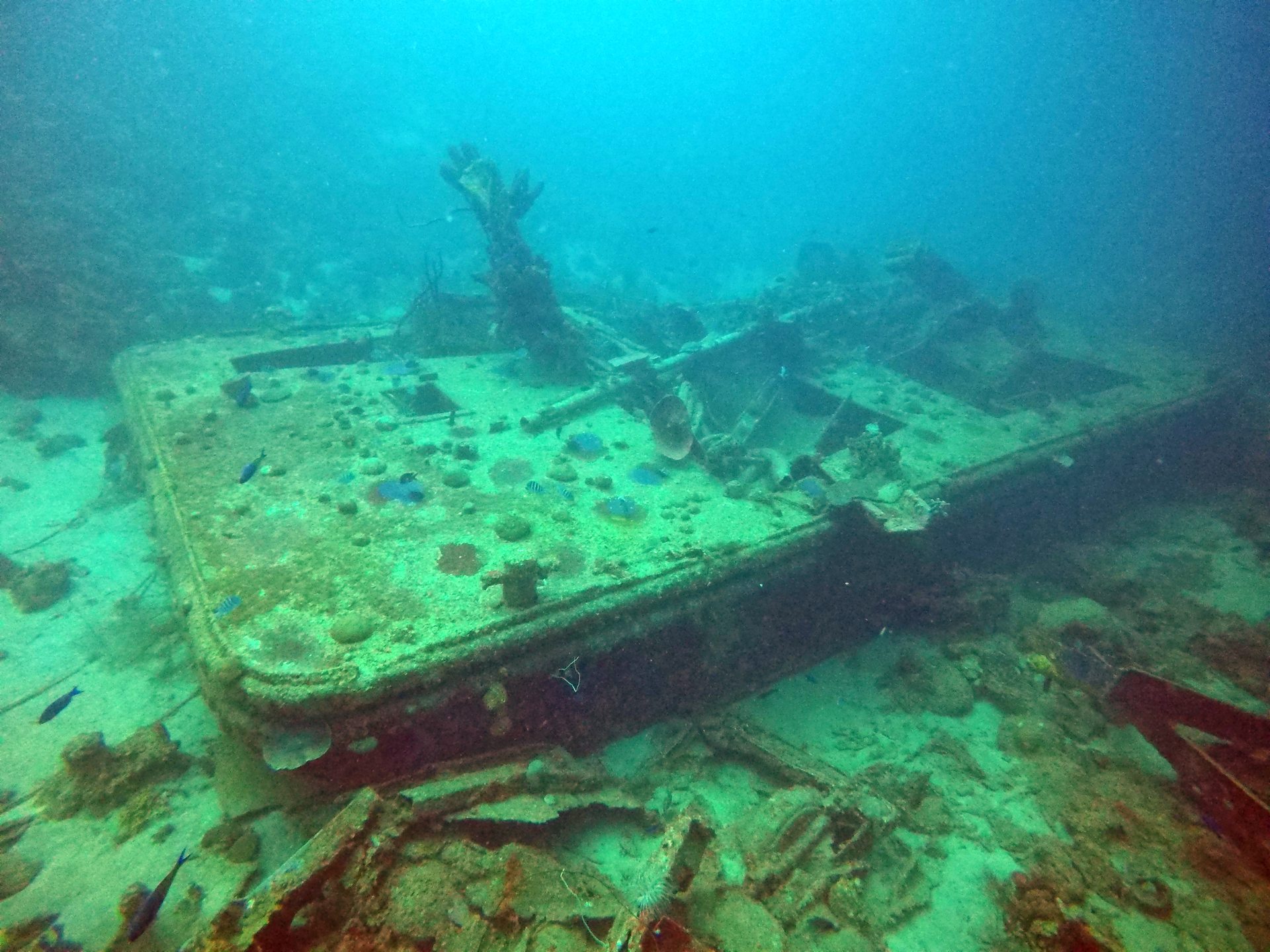 Dive site photo