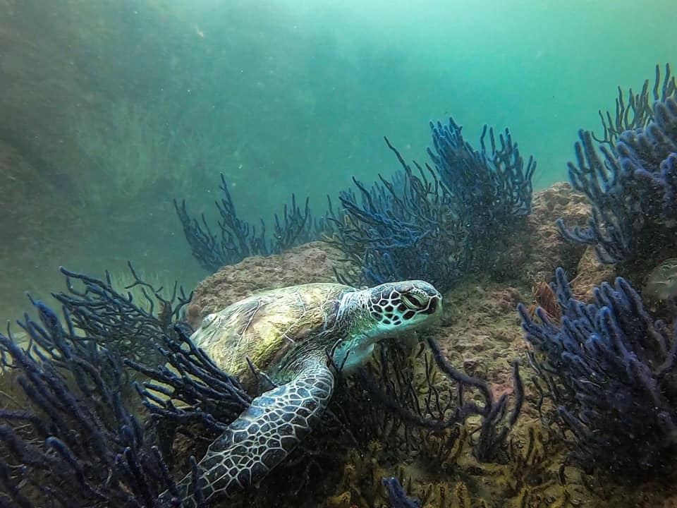 Dive site photo