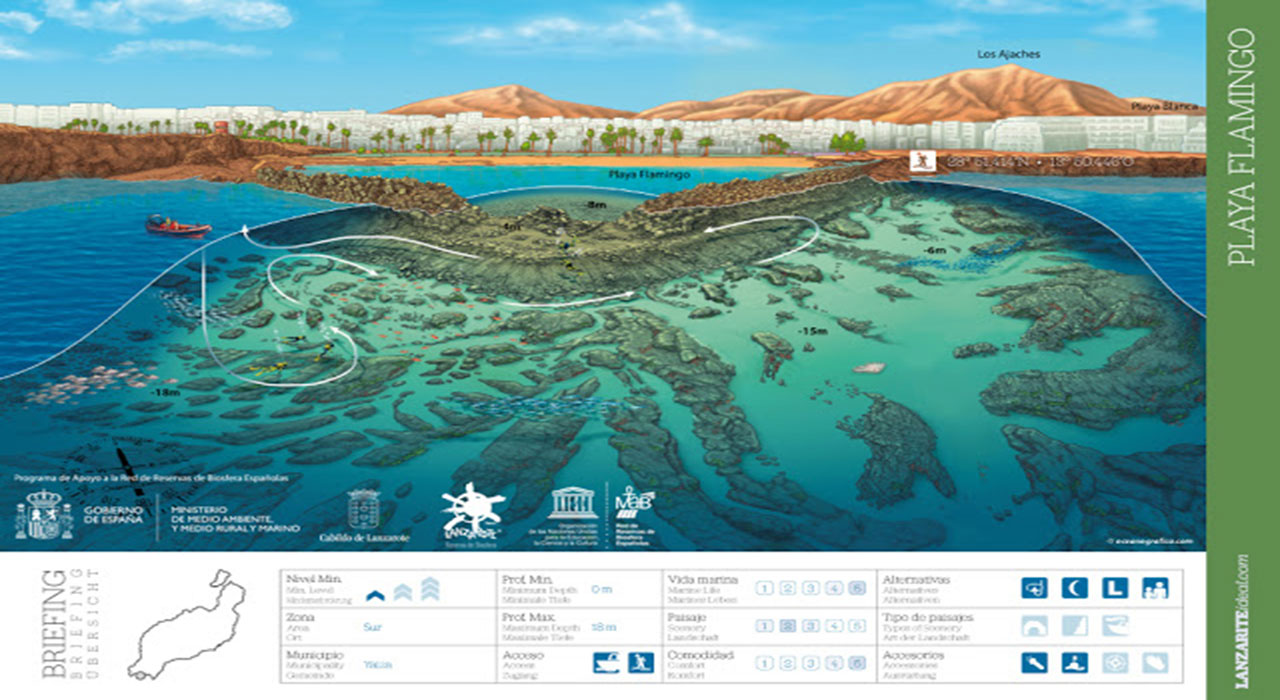 Dive site photo