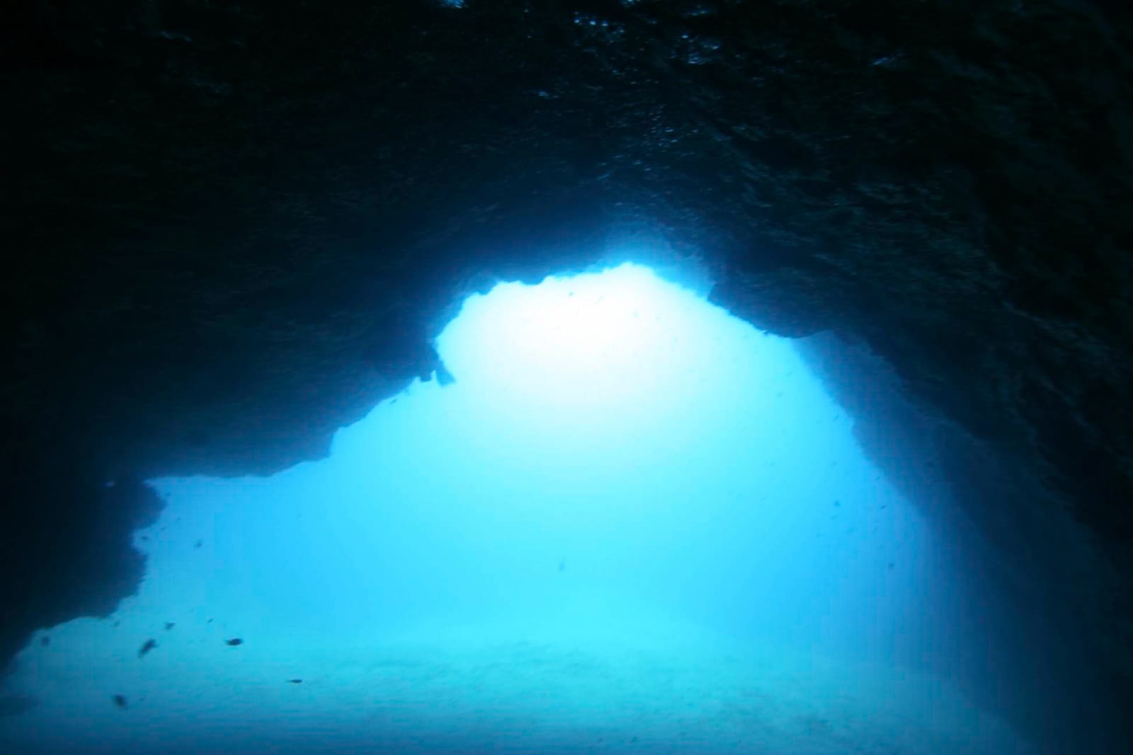 Dive site photo
