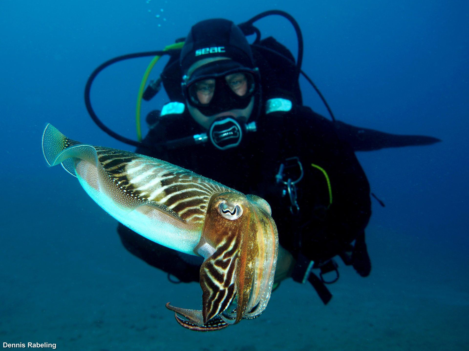 Dive site photo